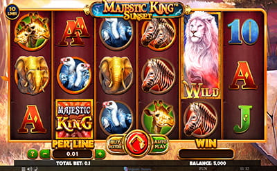 The Majestic King Sunset Online Slot at Stake Casino