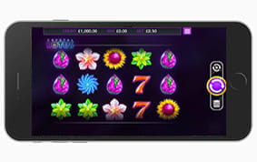 MrQ Casino on iPhone