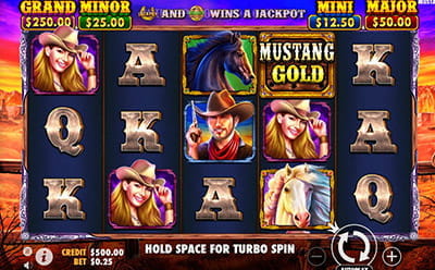 Mustang Gold's Interface