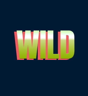 Wild Symbols in Online Slots
