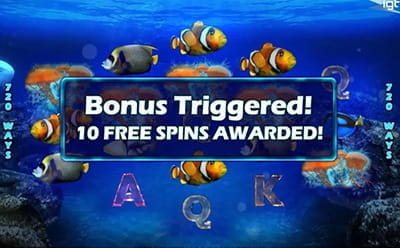 Pacific Paradise Slot - Free Spins