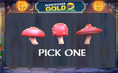 Paddy Power Gold Slot Free Spins