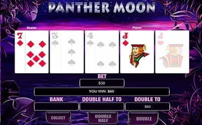Panther Moon Slot Gamble Feature