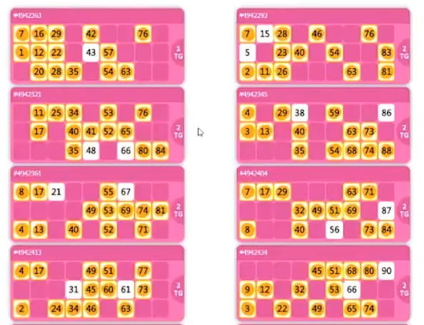 Looney bingo app free Looney bingo app free