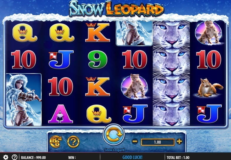 Snow Leopard Online Slot