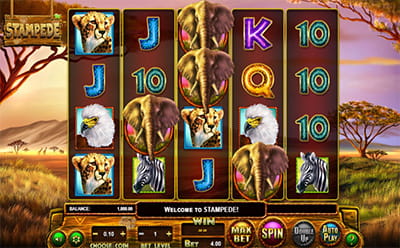 Stampede Slot in Split Aces Casino