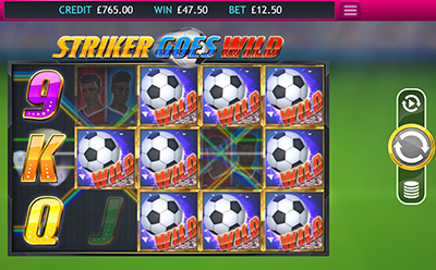 Striker Goes Wild Slot Feature Rules