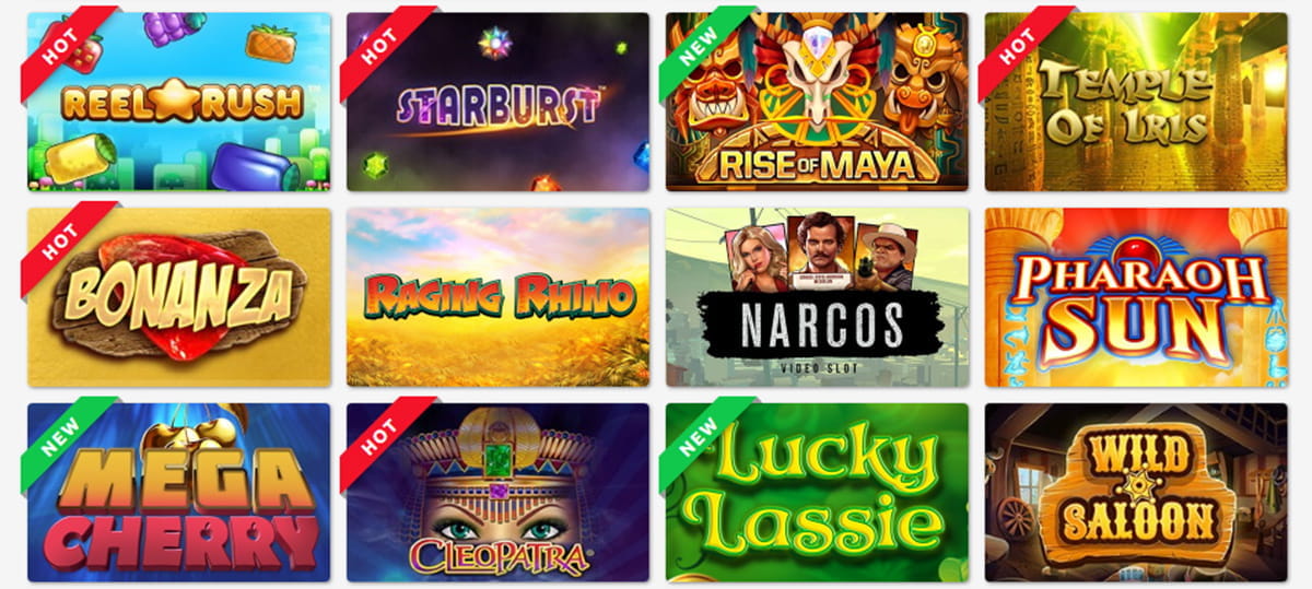 Sugar Bingo Collection of Online Slots
