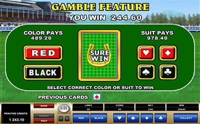 Sure Win Gamble Feature