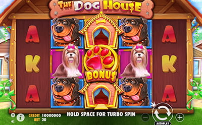 The Dog House Online Slot at NeonVegas