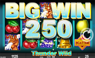 Thunder Wild Slot Bonus Round