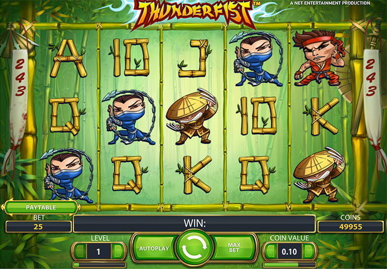 Free demo of the Thunderfist Slot game