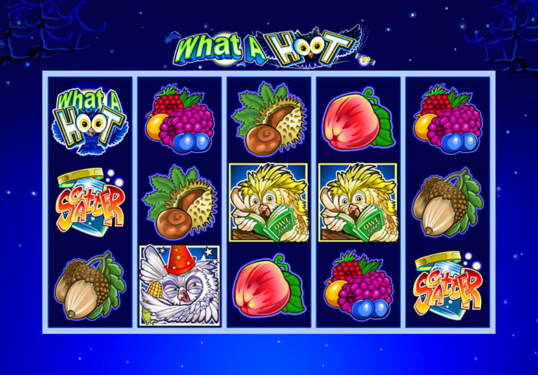 What-a-Hoot Slot Demo Version