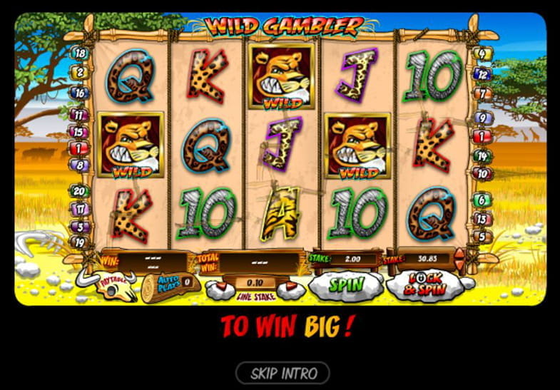 wild gambler описание игрового автомата