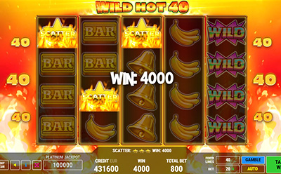 Wild Hot 40 Slot Free Spins
