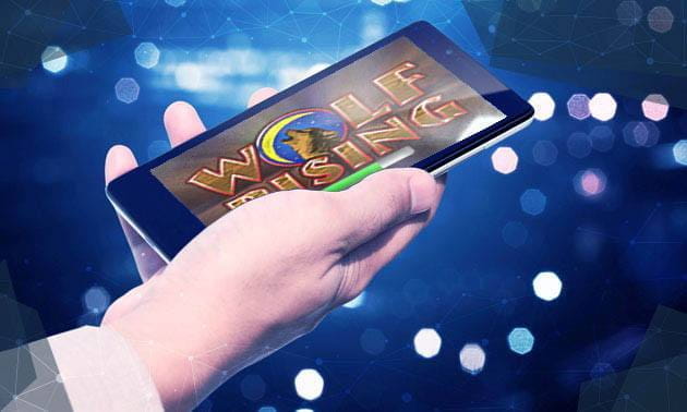 Free wolf slots games downloads Free wolf slots games downloads
