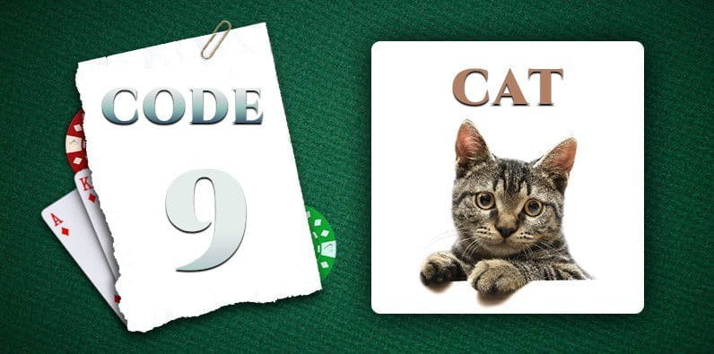 Codeword for 9 Is Cat 