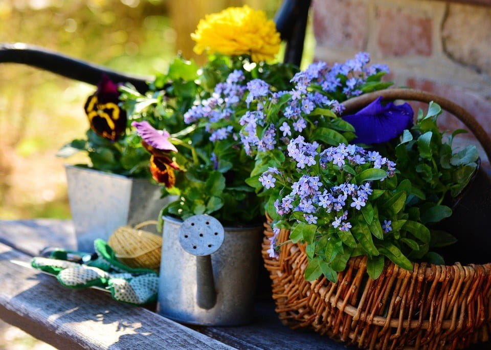 The UK Hobby of Gardening