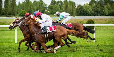 Horse Racing Championships and Betting