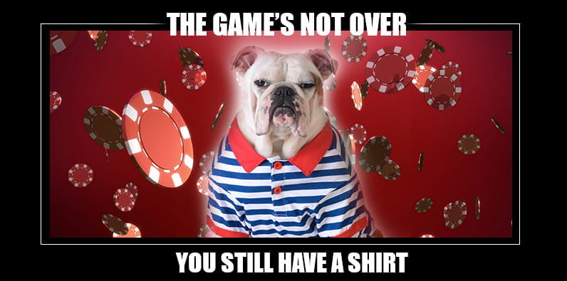 The Game’s Not Over: Poker Dog Meme