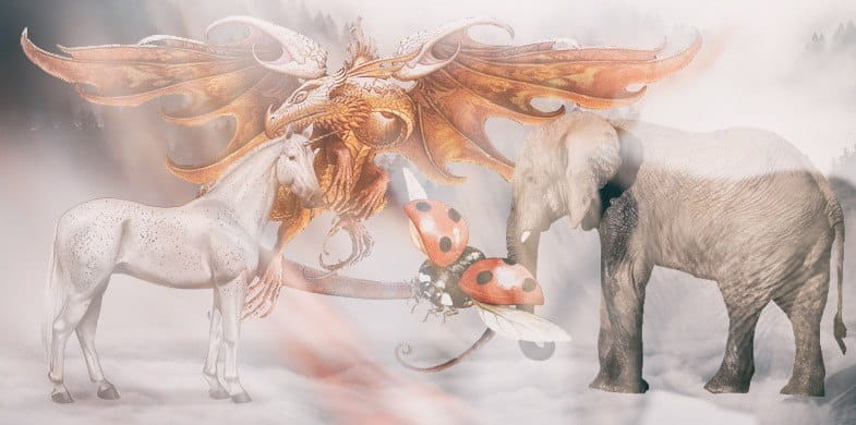 Good Luck Animals Around the World – Find Your Lucky Symbol Good Luck Animals Around the World – Find Your Lucky Symbol