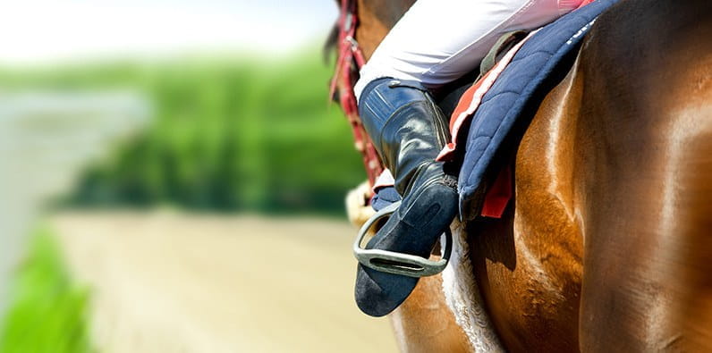 American Pharoah's Victory at the Arkansas Derby