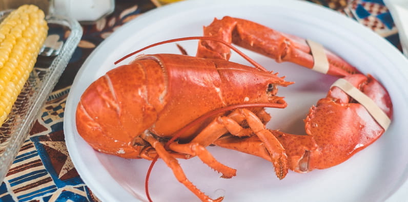 Seafood in Atlantic City Restaurants