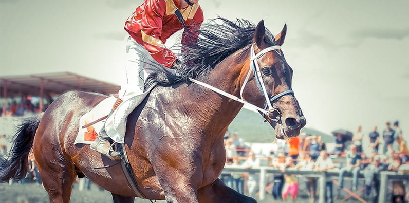 The Most Famous Racehorses Throughout History