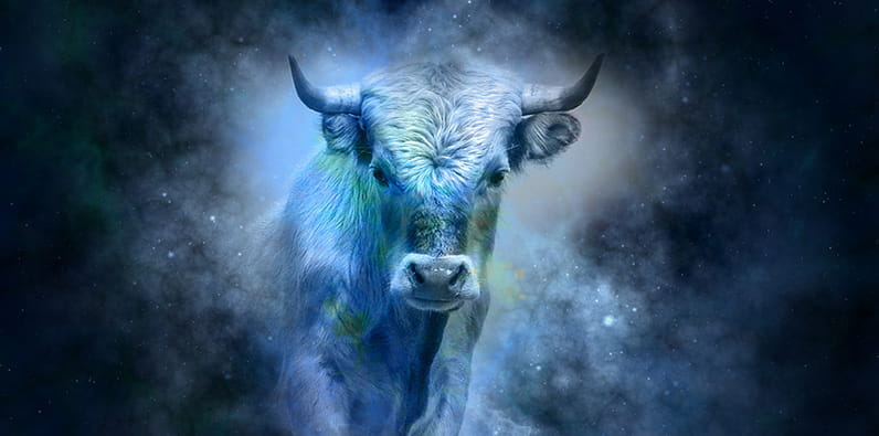 Taurus Horoscope for Gambling Luck