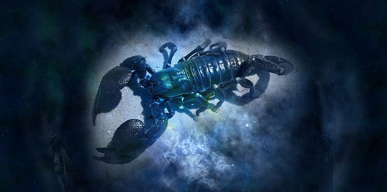 Gambling Luck Horoscope Gambling Luck Horoscope