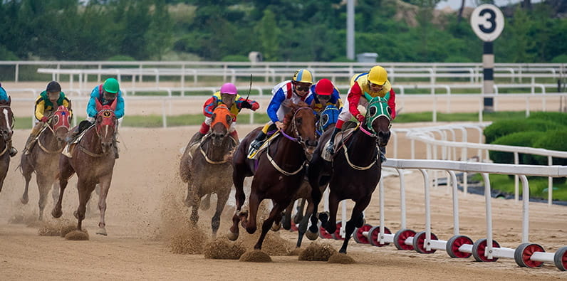 Heated Horse Race with Seven Participants