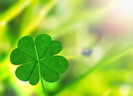 Irish Four-Leaf Clover Good Luck Charm