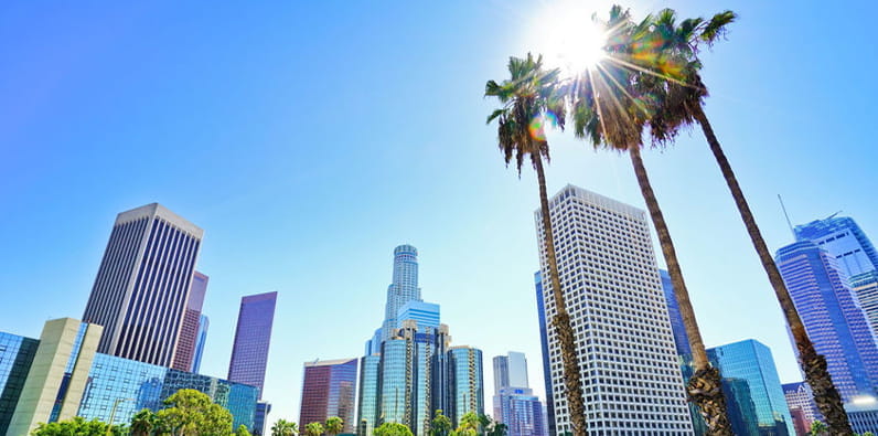 Sunny City with Palm Trees