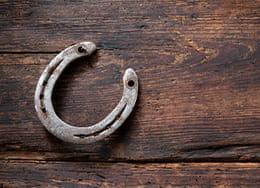 Horseshoe Good Luck Symbol
