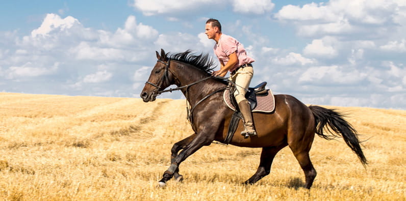 Man Riding 5 Horses Alone