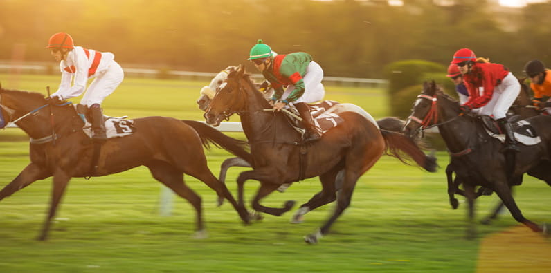 The Biggest Horse Race in the World on Grass