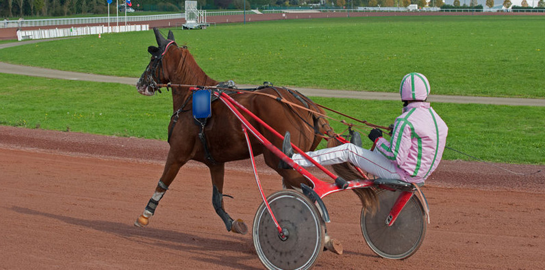 Meadows Casino and Racetrack