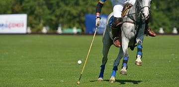 Kuda dan Permainan Polo di Delhi