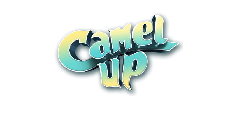 Camel Up Board Game