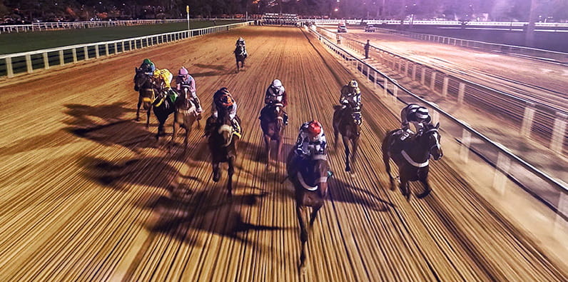 Ten Horses Racing On Dirt