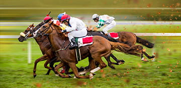Chinese Tradition of Horse Racing