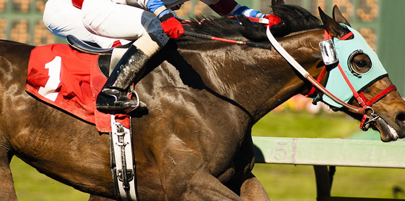 Frankie Dettori In the Middle of a Race