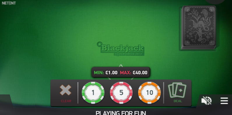 Single Deck Blackjack Professional Gameplay