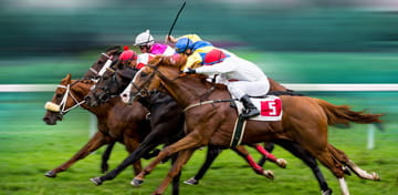 Horse Racing in New Mexico