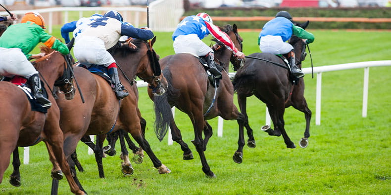 Horse Racing Club in Lahore