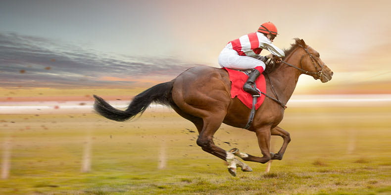 Horse Racing Tracks in Pakistan