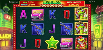 Elvis Frog in Vegas