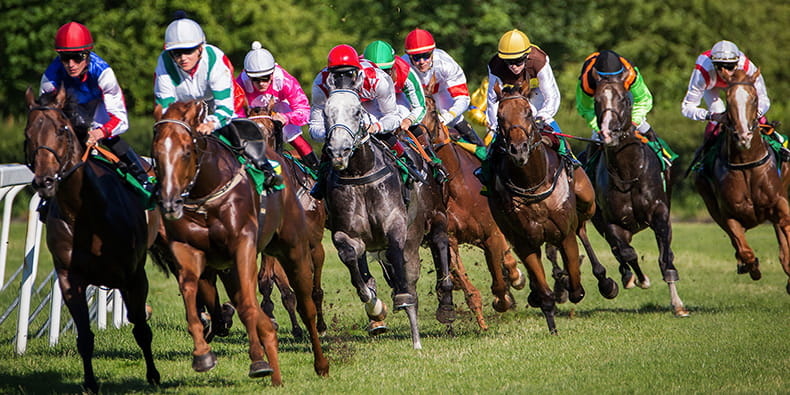 Quebec Horse Racing