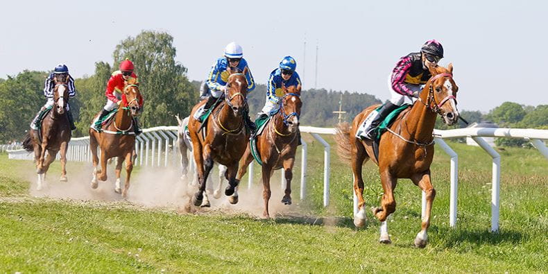 An Ongoing Horse Race