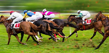 Horse Races in Nova Scotia